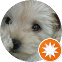 ジェイソン（tarky） profile picture