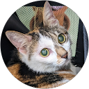にゃぎ profile picture