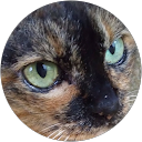 34 K profile picture