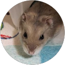 mimi profile picture