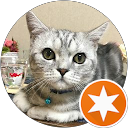 猫SYLVA profile picture