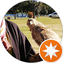 k waka profile picture