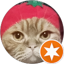 家族ねこ profile picture
