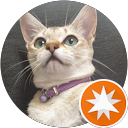 Flat PADI profile picture