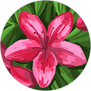 かあ profile picture