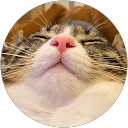 Hiroki Chiyoda profile picture