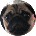 やまとまと profile picture