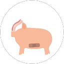 なし profile picture