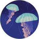 ろーこた profile picture