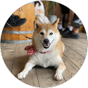 小豆 profile picture