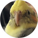 あ profile picture