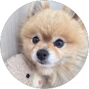 佐々木淳 profile picture