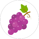 g_c profile picture