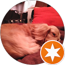 ナナまる profile picture