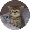 b mm profile picture