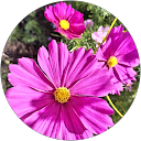 Keeponsmiling profile picture