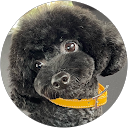 ZUSUMI 1969 profile picture