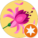 C Y profile picture