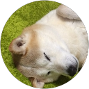 Bell Noah profile picture