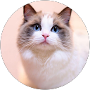 ちゃこ profile picture