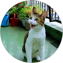 さくらモモ profile picture