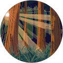 XJ D profile picture
