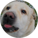 こびびん profile picture