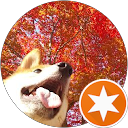 まろとこまち profile picture
