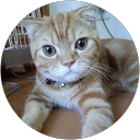 大堀竜弥 profile picture