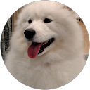 wakauso kawauso profile picture