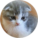 ぽんぽん profile picture