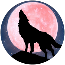 むらたか profile picture