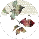 lugh 0519 profile picture
