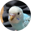 アキヒロ profile picture