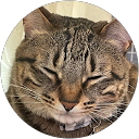 るーるー profile picture