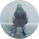 トマトトマト profile picture