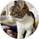 SaltedCaramel profile picture