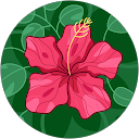 すいか profile picture