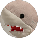kadoshin profile picture