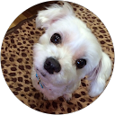 ai profile picture