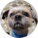 1101 YOSHI profile picture