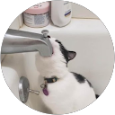みふぃお profile picture