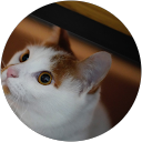 S.T. KIM (Pacman) profile picture