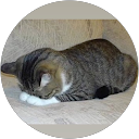 m37k profile picture