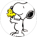 りんりんりん profile picture