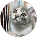 Yuko Inaoka profile picture