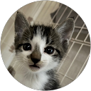 sugawara akiyoshi profile picture