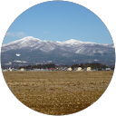 野地友幸 profile picture
