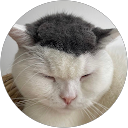 S profile picture
