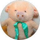 谷本光慶 profile picture